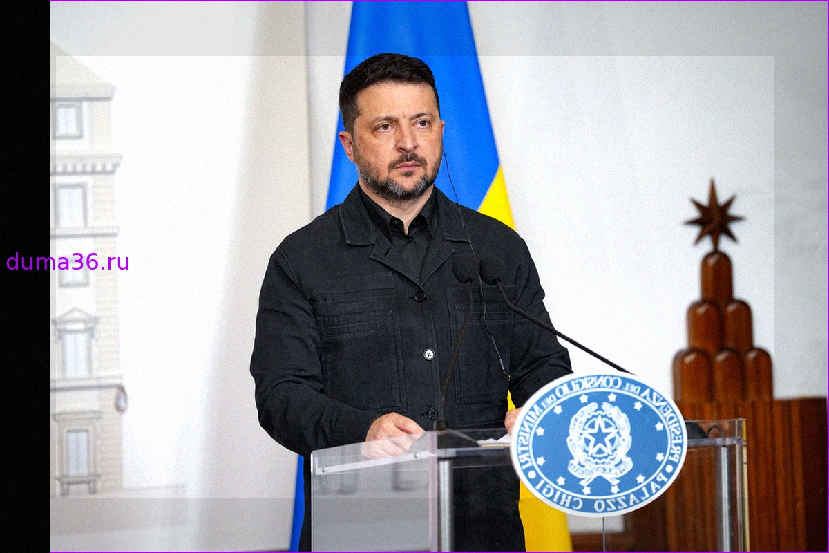 Ирландский журналист напомнил Зеленскому о «кормящей руке» после критики Вэнса