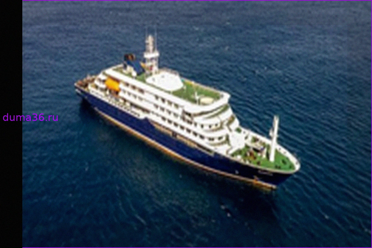 Предполагаемая вспышка хантавируса на круизном лайнере MV Hondius: трое погибших