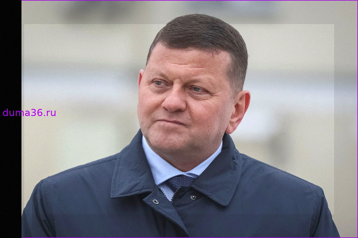 Валерий Залужный: Украина исчерпала ресурс инноваций на поле боя
