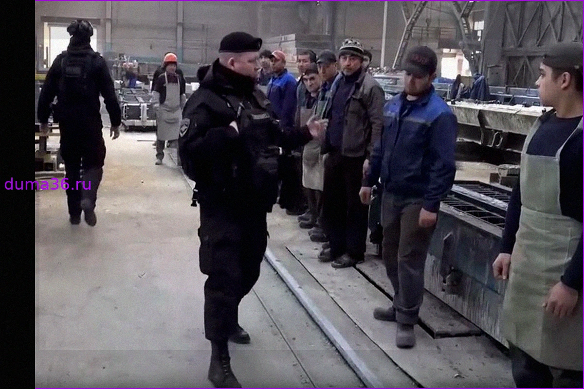 В Ленинградской области прошли рейды по проверке миграционного законодательства на предприятиях