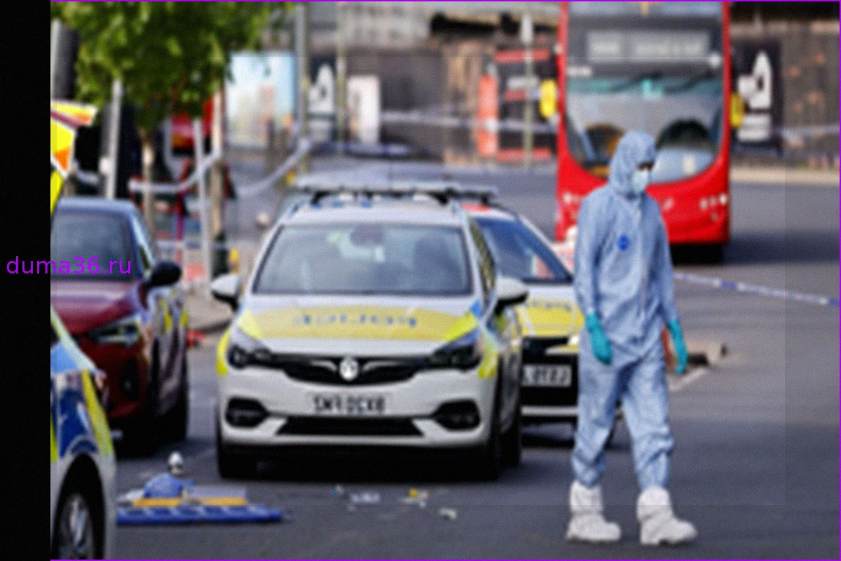 После нападения в Голдерс-Грин уровень террористической угрозы в Великобритании повышен до "серьезного"