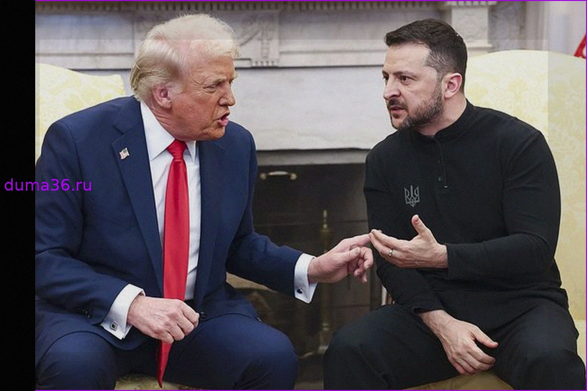 Зеленский отчаялся: Украина ищет новую стратегию без поддержки Трампа и США