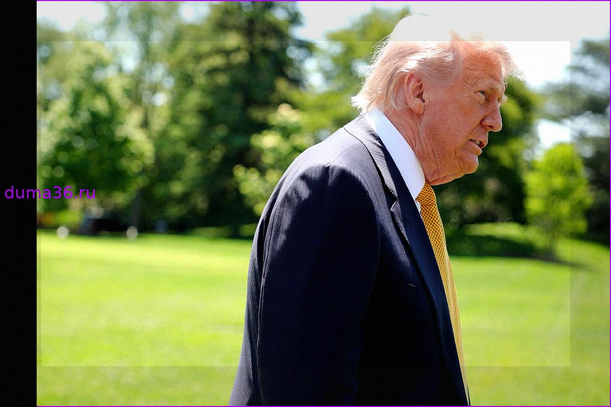 Трамп прогнозирует скорое завершение конфликта в Украине