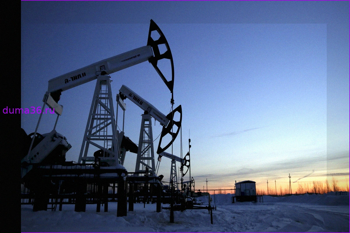 Остановка транзита нефти по «Дружбе»: серьезные последствия для Германии и возможные для Украины