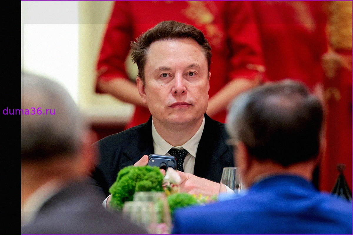 Илон Маск решил проспонсировать предвыборную гонку в США