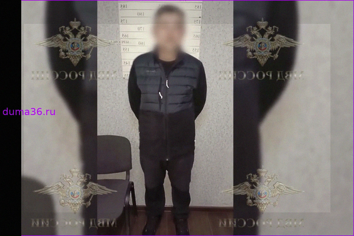 Запуск сигнальной ракеты привел к лесному пожару в Красноярском крае, виновник задержан