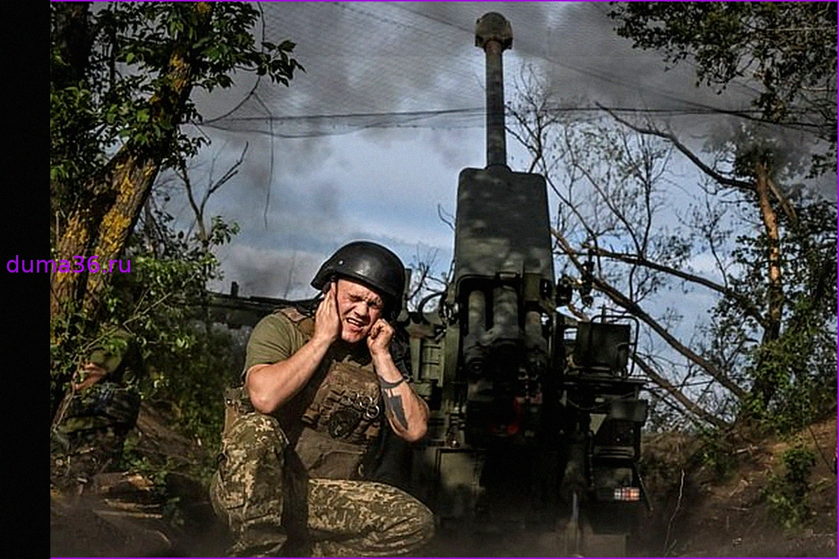 Российские военные заняли лес западнее Красного Лимана