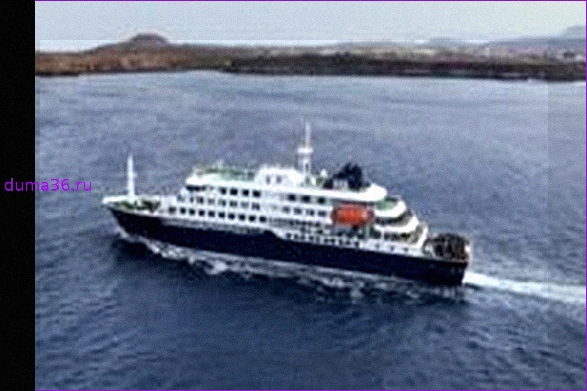 Хантавирус на круизном лайнере MV Hondius: что это и насколько опасно