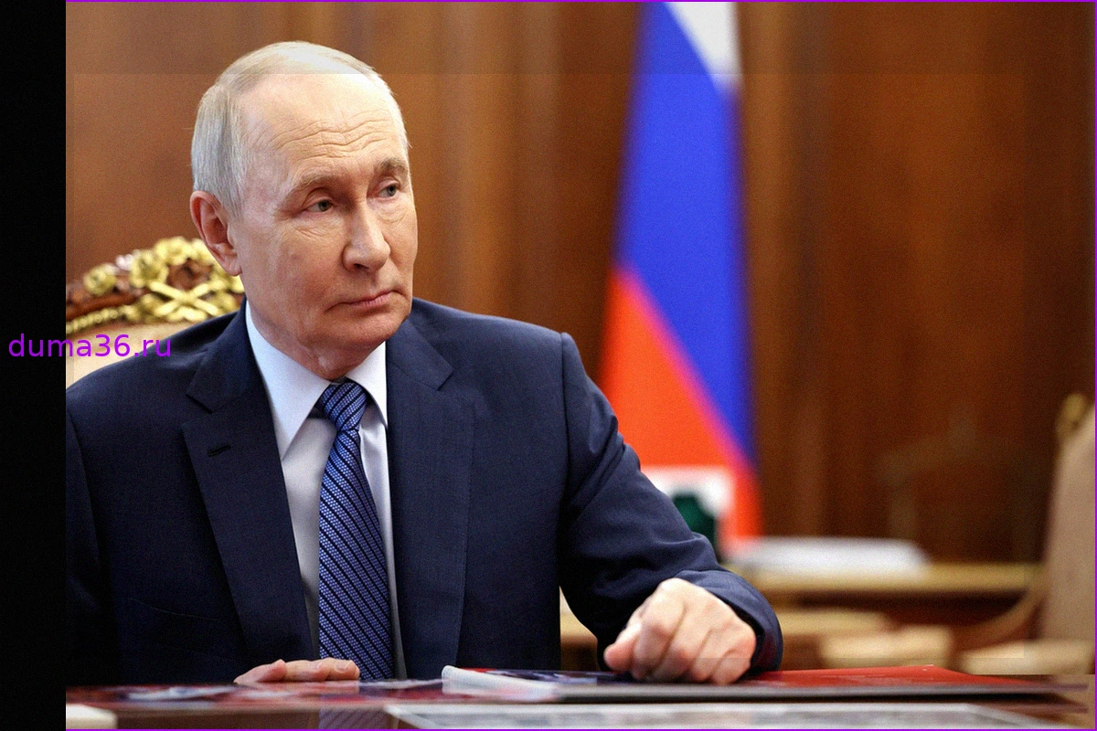 Отчет полковника Шихабидова Путину: потери ВСУ, продвижение войск и обстановка на Добропольском направлении