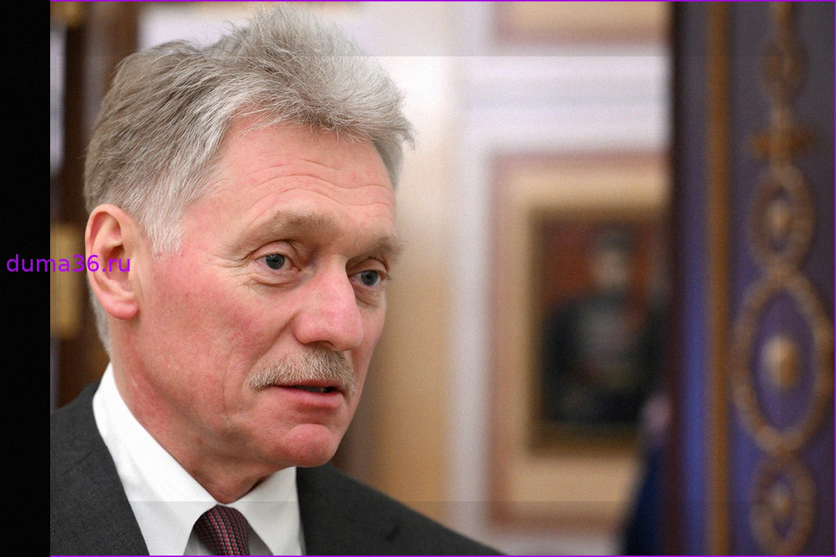 Песков надеется на здравомыслие немецких политиков и признание роли СССР