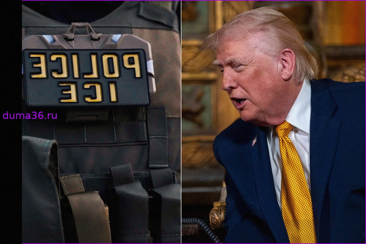 Трамп поддерживает предложение переименовать ICE в «NICE»