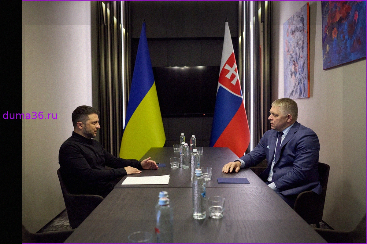 Зеленский и Фицо обсудили укрепление отношений и поддержку вступления Украины в ЕС
