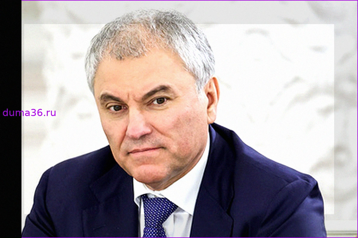 Госдума рассмотрит новые законопроекты о поддержке участников СВО и их семей