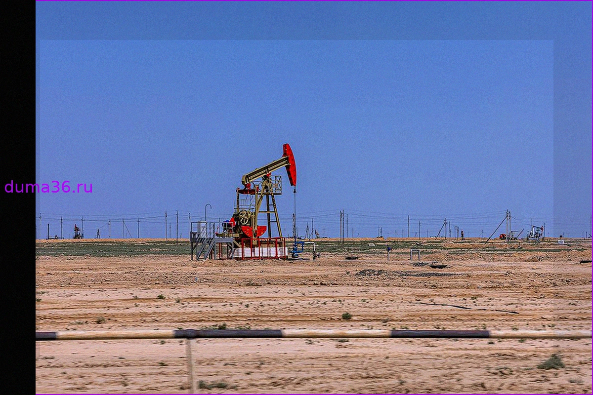 Страны ОПЕК+ без ОАЭ решили нарастить добычу нефти на 188 тыс. барр.