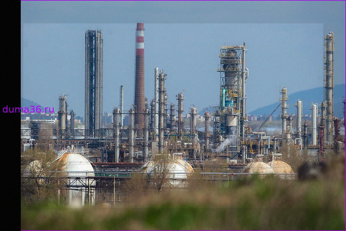 Goldman Sachs оценил сокращение мировых запасов нефти до 8-летнего минимума