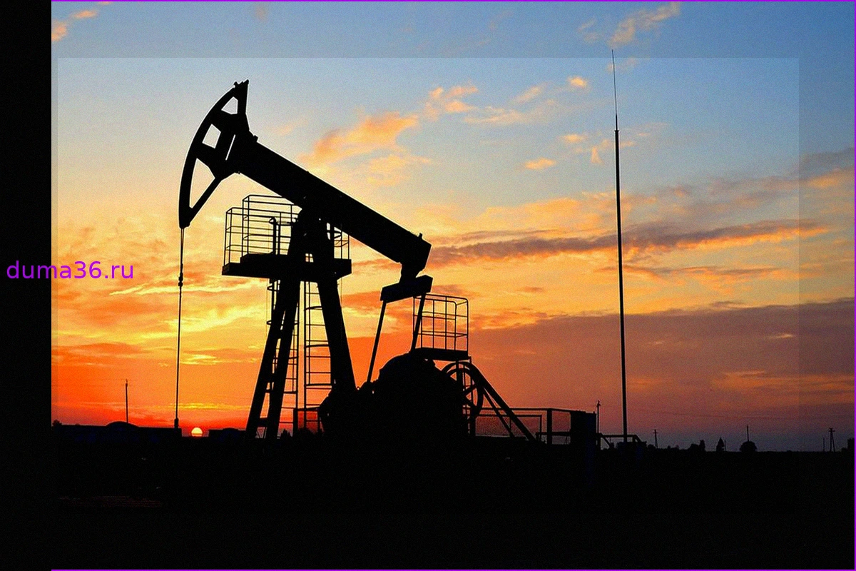 Запрет России на транзит нефти из Казахстана в Германию: последствия для Украины
