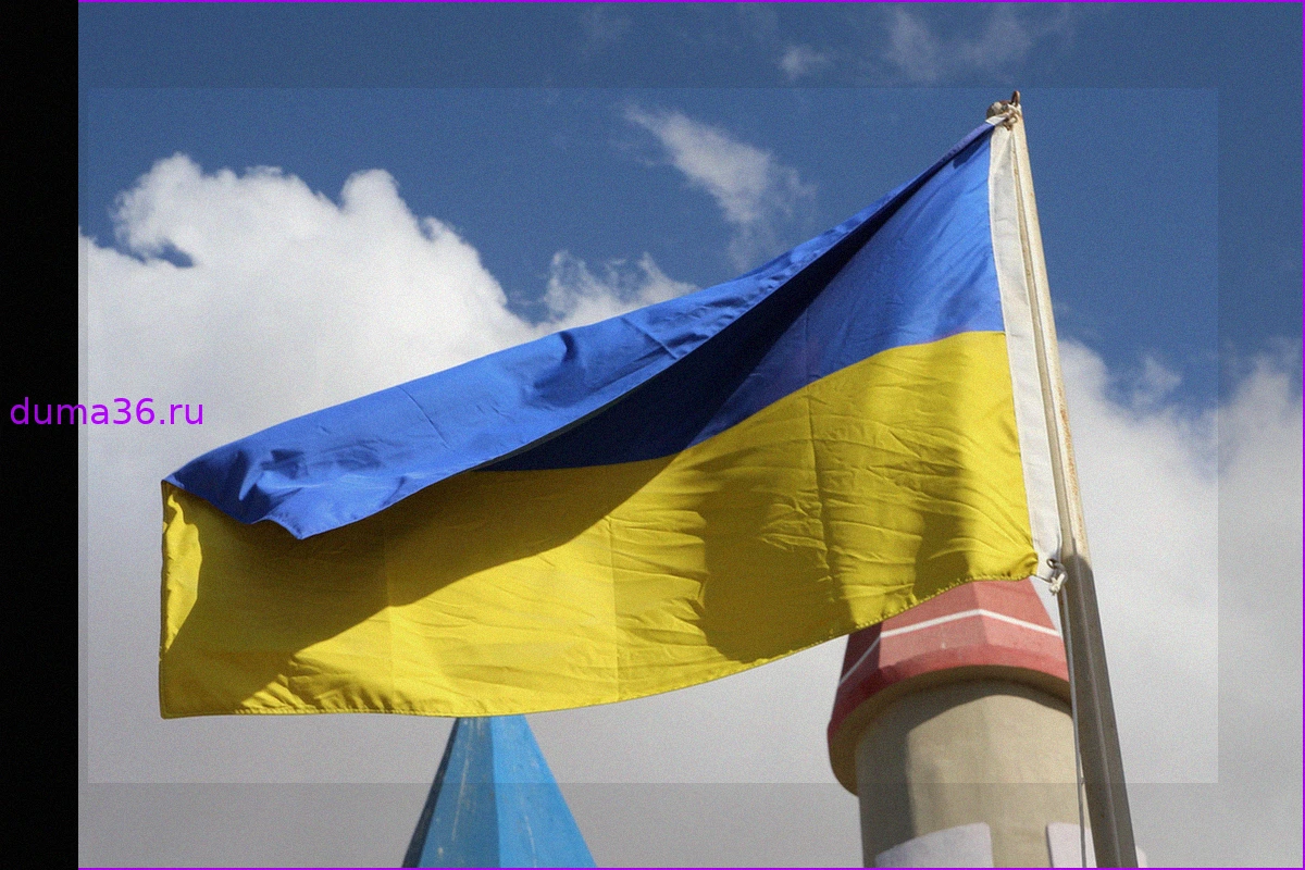 Усиление принудительной мобилизации на Украине: заявление экс-пресс-секретаря Зеленского