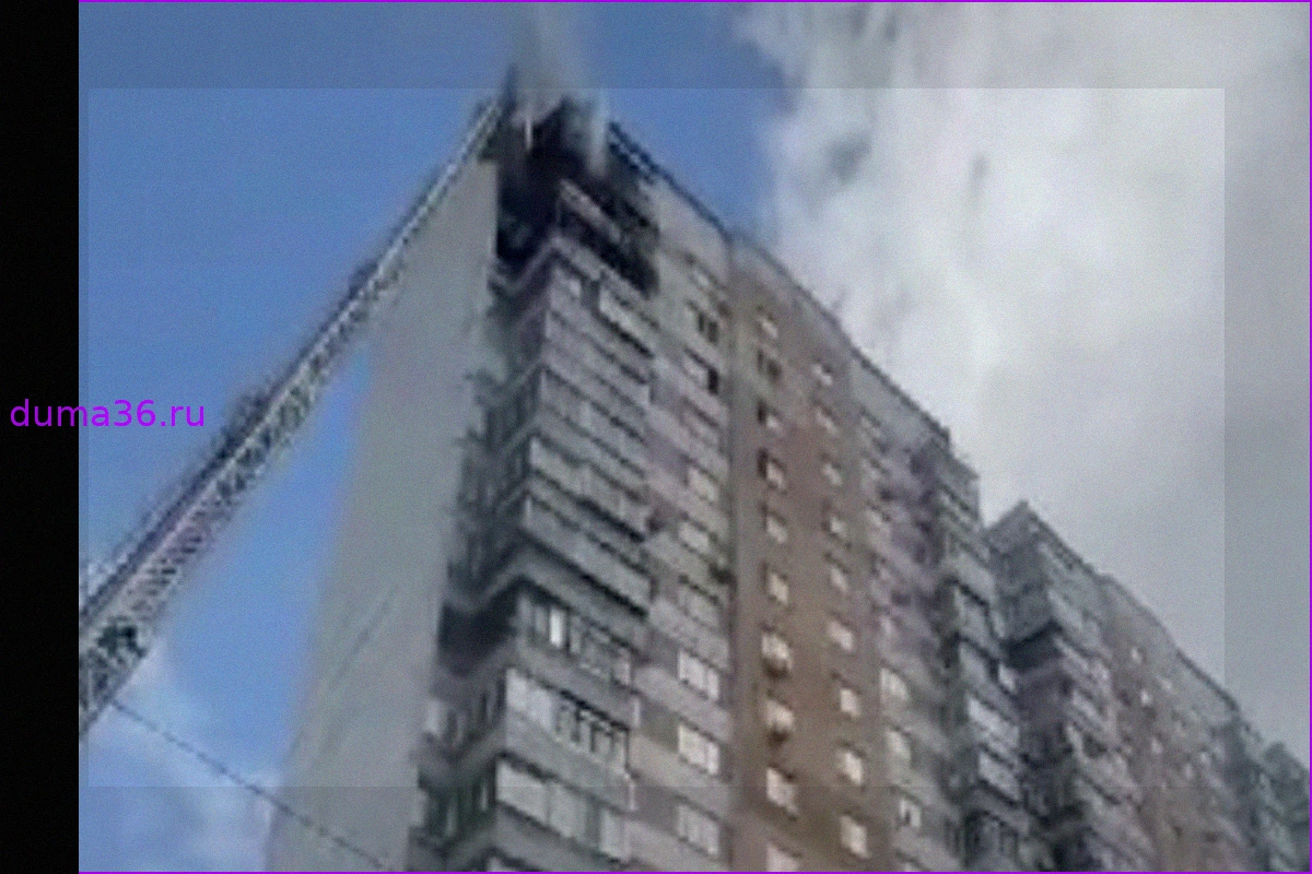 Пожар в многоэтажном доме в Люберцах: МЧС эвакуировало жильцов и спасло человека
