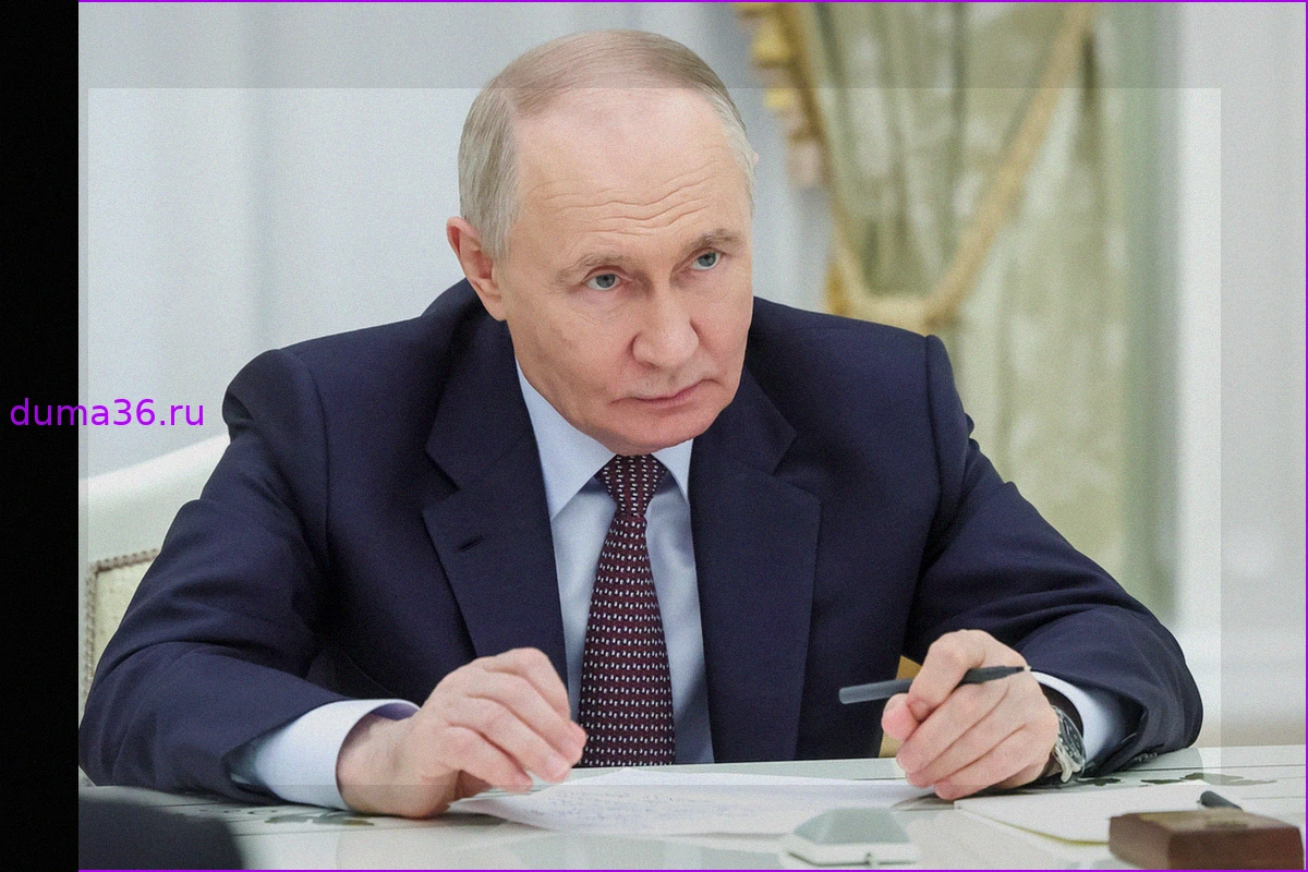 Песков прокомментировал слова Путина о зацикливании на запретах