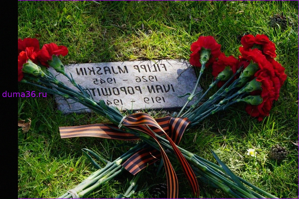 Память советских воинов почтили российские дипломаты в Швеции