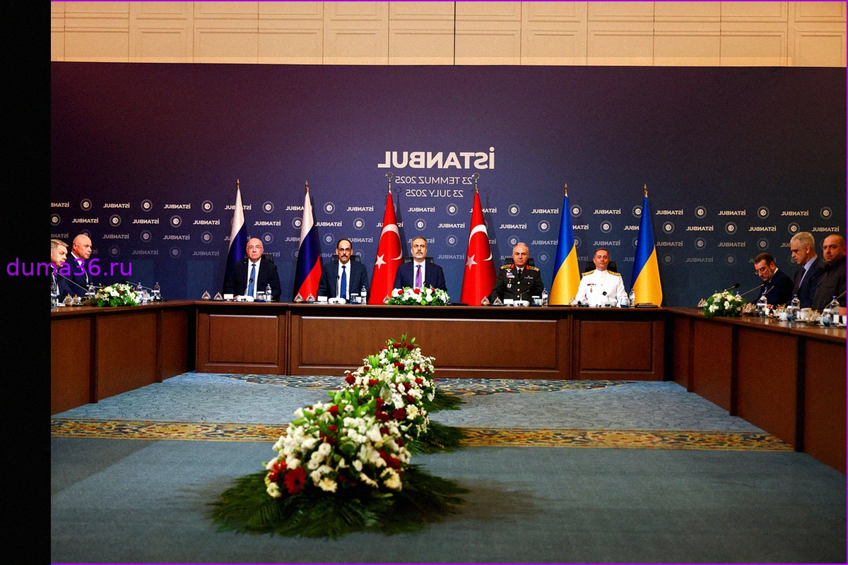 Влияние Турции в украинских переговорах: сможет ли Анкара заменить США?