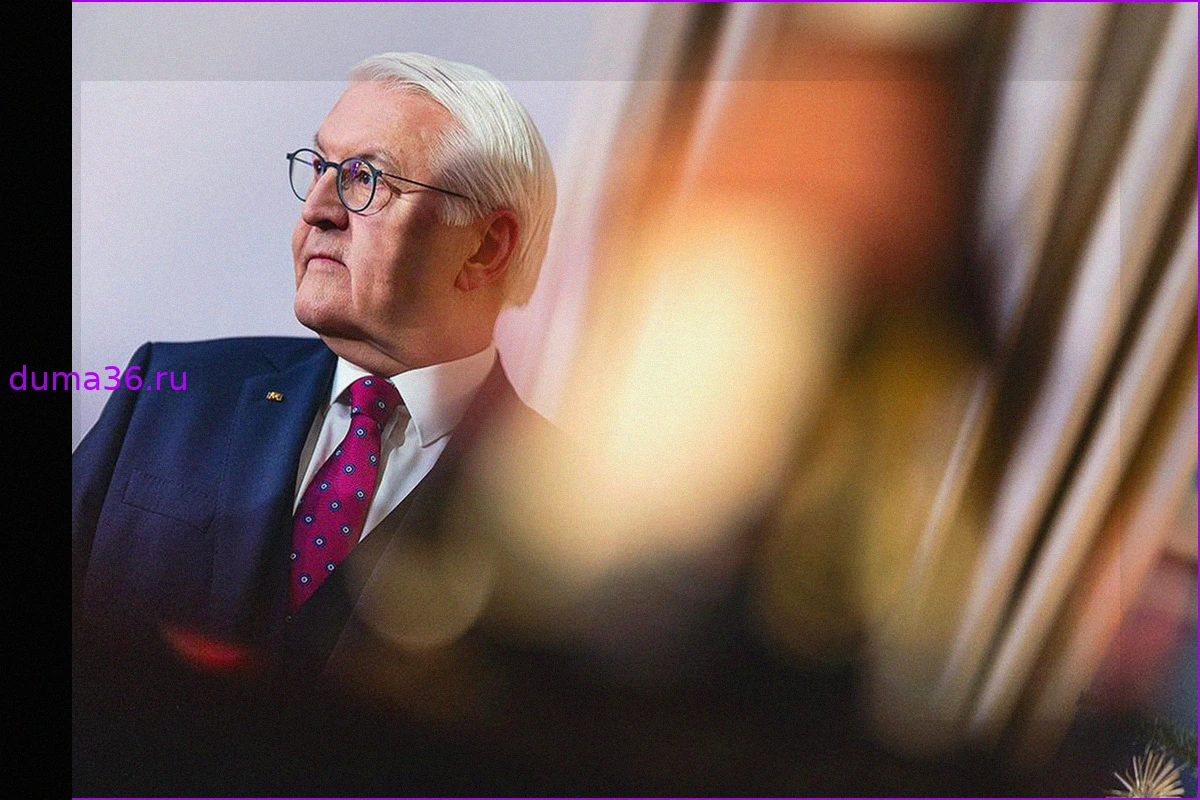Spiegel: Идея дуэта Шрёдер-Штайнмайер для переговоров с Россией