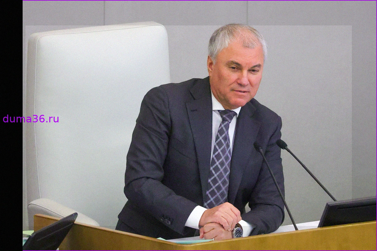 Председатель Госдумы РФ Володин: Канцлер Мерц "обнулил" развитие Германии