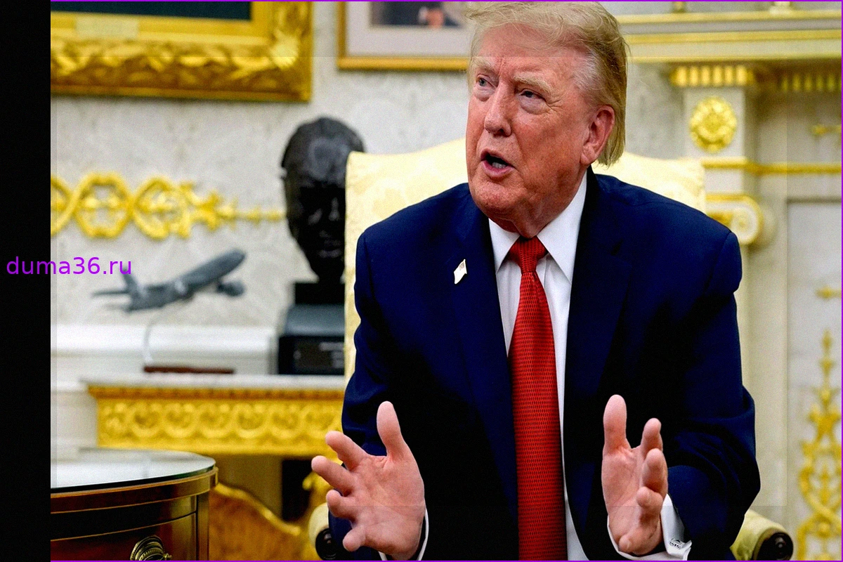 Трамп о росте популизма в Германии: "Ужасные" миграционные законы и победа АдГ в Саксонии-Анхальт