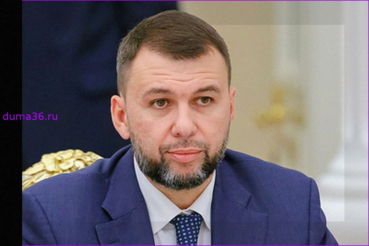 Пушилин: ВС РФ ведут бои в городской черте Рай-Александровки