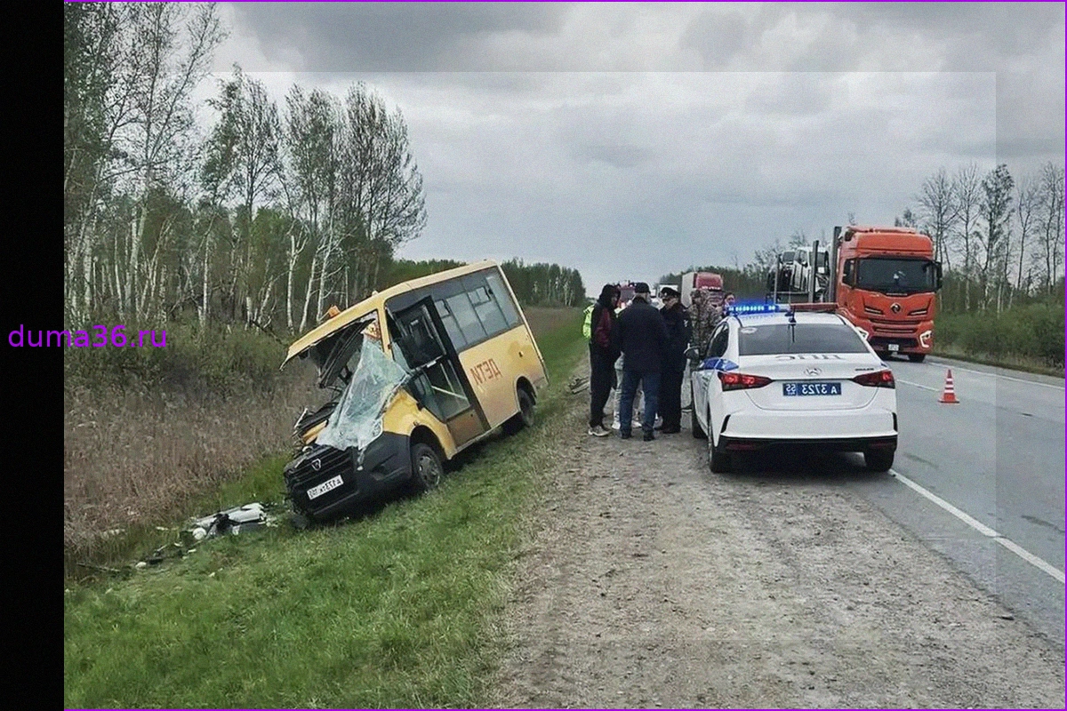 ДТП с автобусом, перевозившим детей, произошло в Омской области