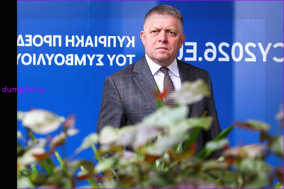 Песков назвал дуростью желание стран помешать Фицо прилететь в Россию