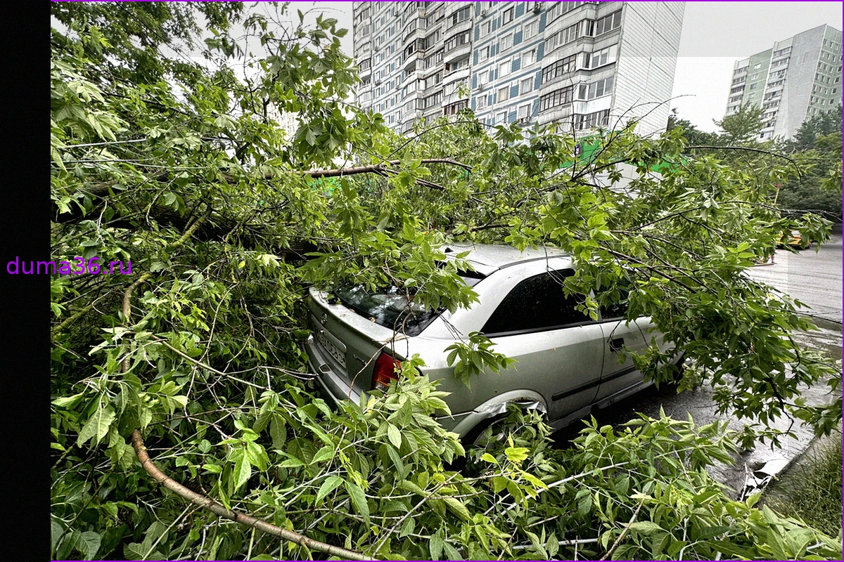 Как защитить автомобиль от непогоды: выбираем страховку