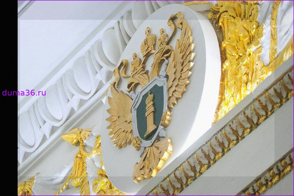 Прокуратура начала проверку после массовых отключений электричества в Подмосковье
