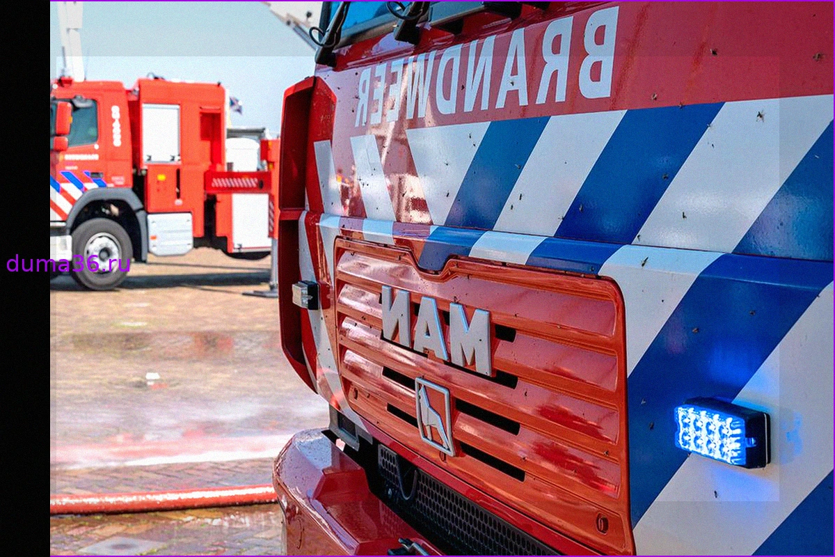 Серия пожаров на трех военных полигонах Нидерландов за двое суток