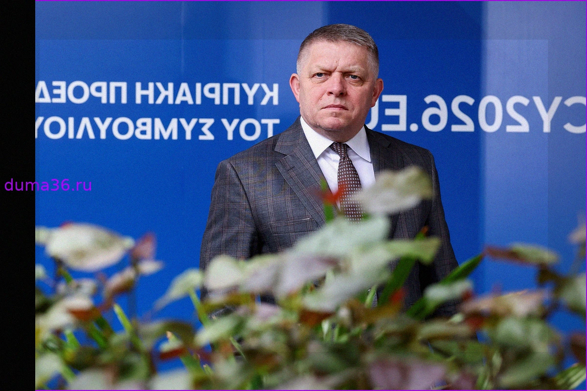 Решение Фицо: Очередной удар по Зеленскому