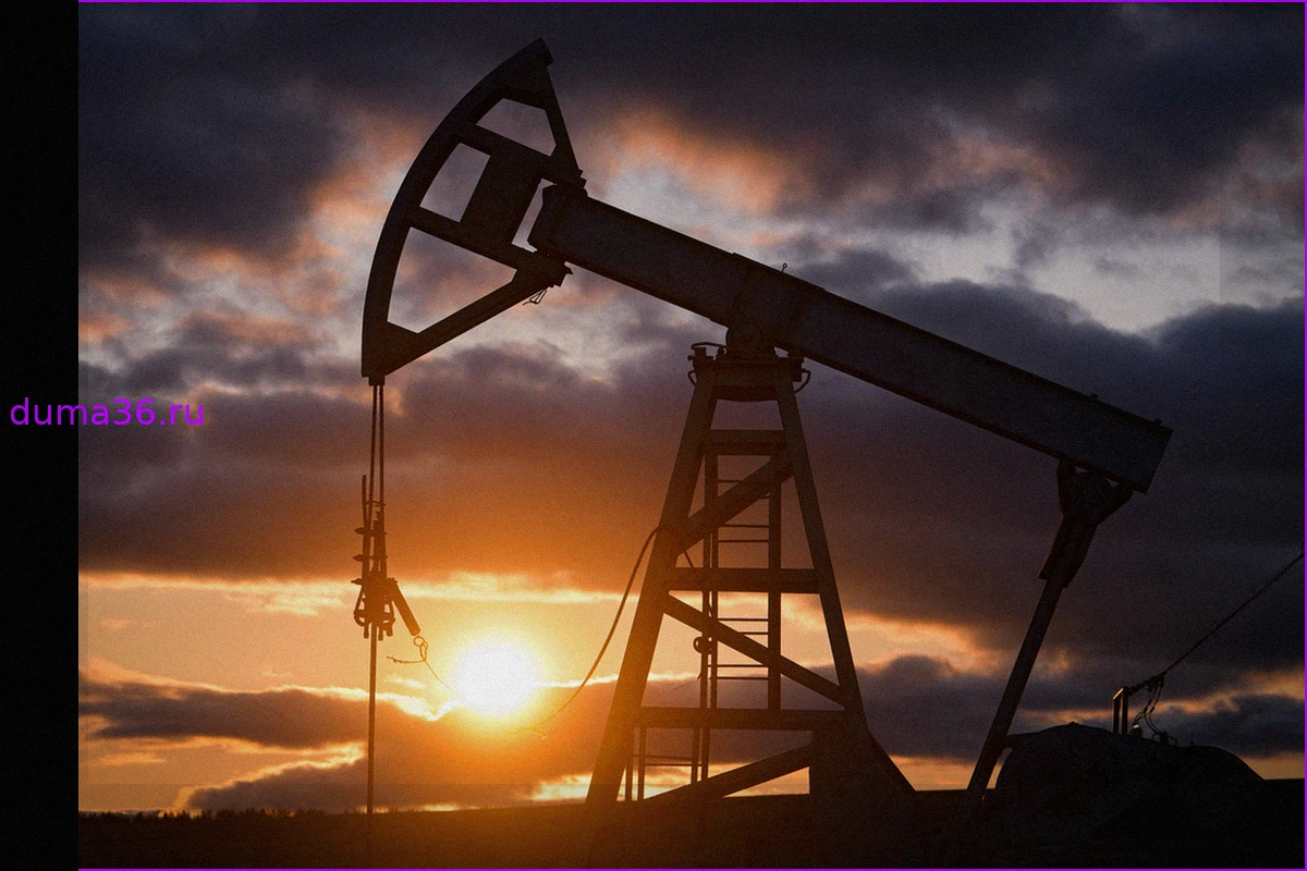 Япония, ключевой союзник США, приобрела российскую нефть