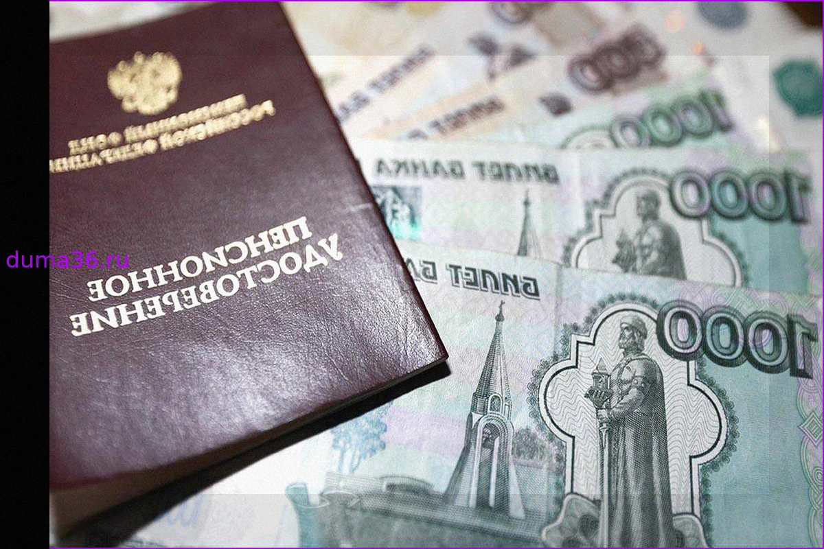 Низкая пенсия для блогеров и самозанятых: предупреждение экономиста