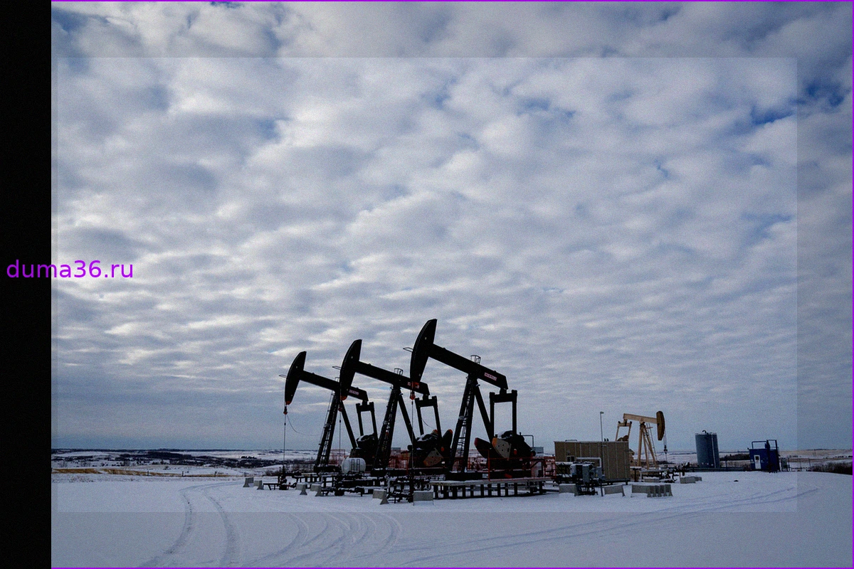 Мировые Цены на Нефть Обновили Максимум с 2022 Года