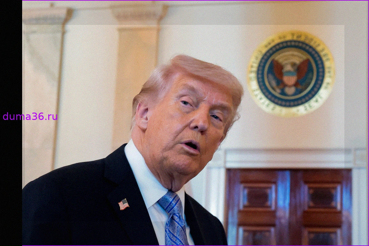 Европа теряет терпение к Трампу: призывы к жестким мерам и контрдействиям
