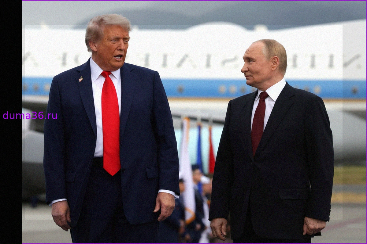 Сигнал Трампа Путину: Немецкий политолог о планах США в Германии