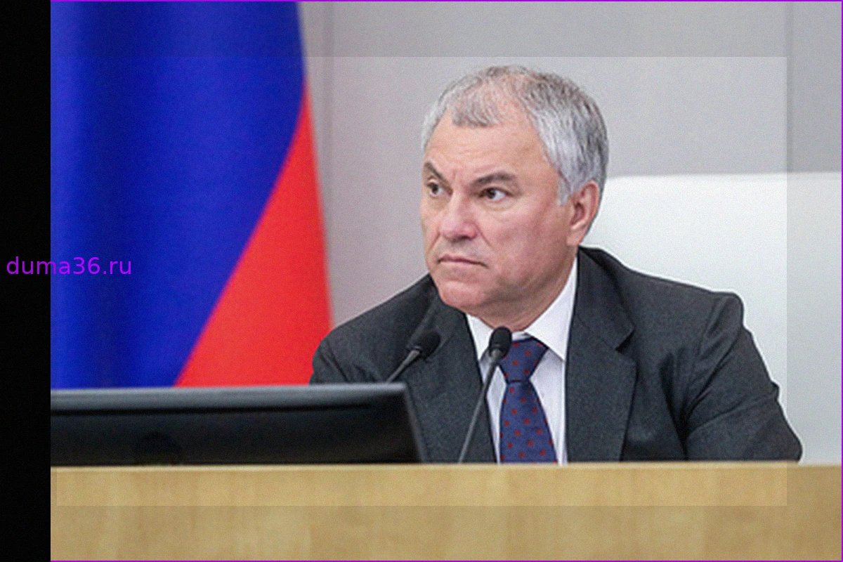 Володин призвал регионы сделать приоритетом создание стационарных летних лагерей