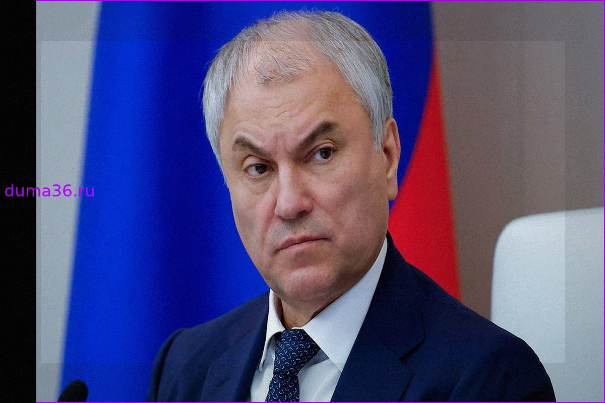 Володин рассказал о ключевых законах, вступающих в силу в мае