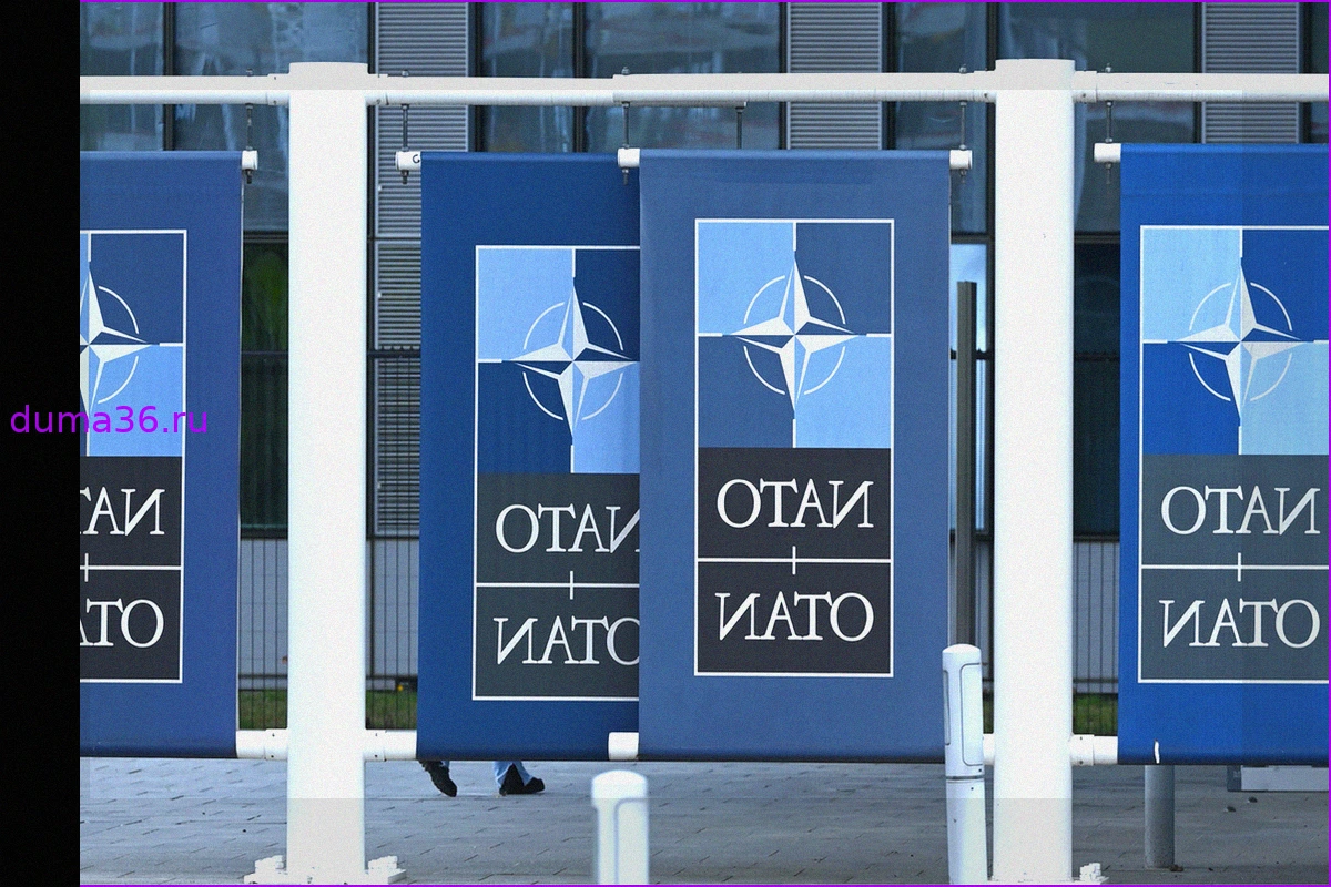 НАТО адаптирует стратегию подготовки к масштабным конфликтам, меняя подход к закупкам дронов