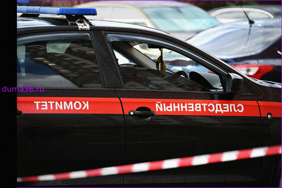 Расследование пропажи девочек в Туве: основные версии и ход поисков
