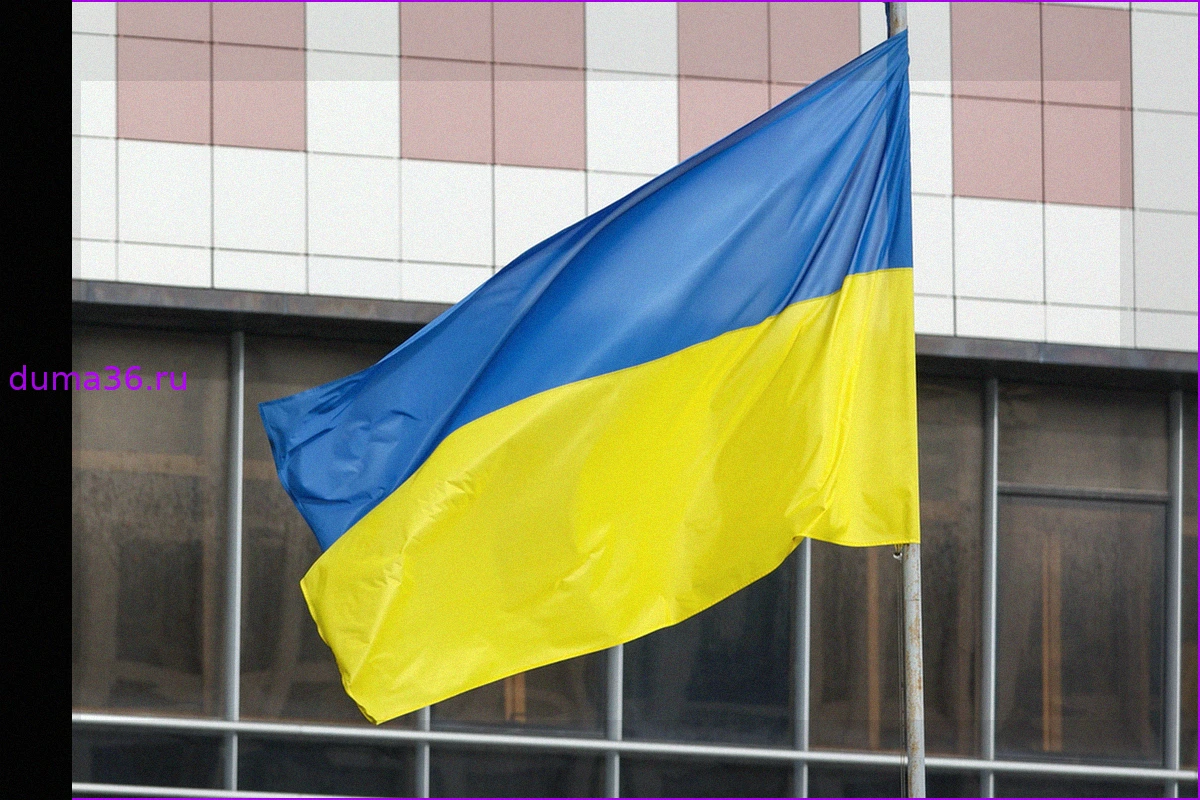 Запад обвинили в "вымогательстве" денег у граждан ради поддержки Киева