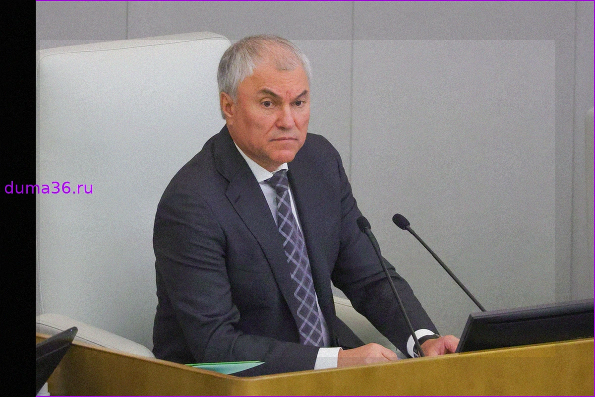 Вячеслав Володин выступил против изменения нештрафуемого порога скорости