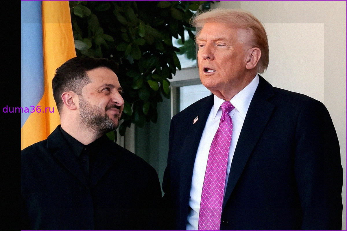 Названа главная причина встречи Дональда Трампа и Владимира Зеленского