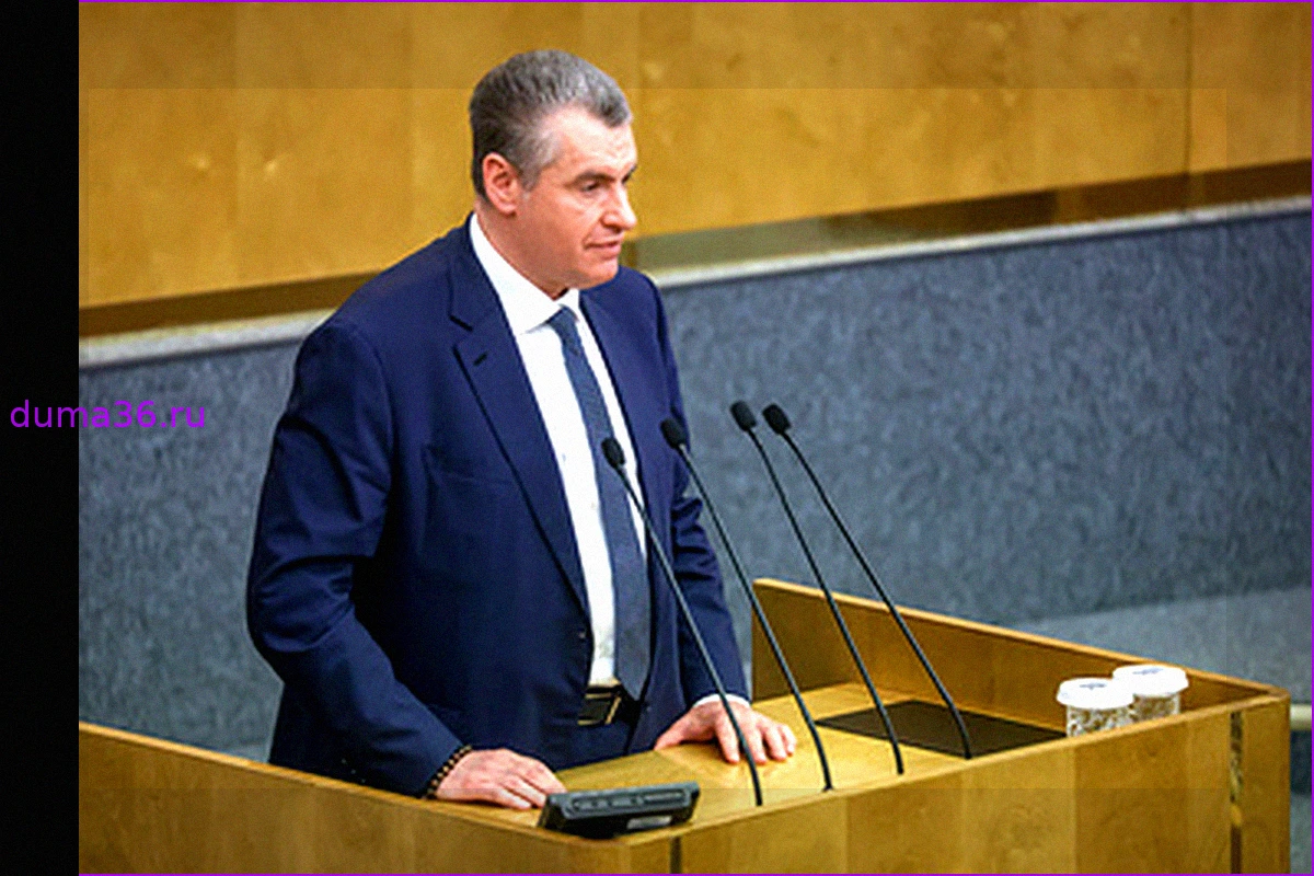 Слуцкий инициировал проверку распределения средств от штрафов ГИБДД