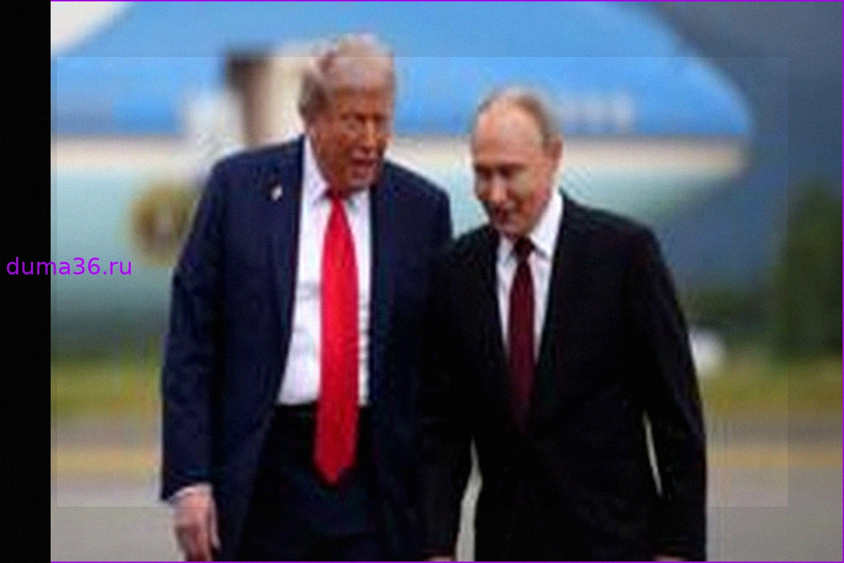 Переговоры Путина и Трампа: Предложение о перемирии к 9 Мая и возможная путаница с Украиной/Ираном