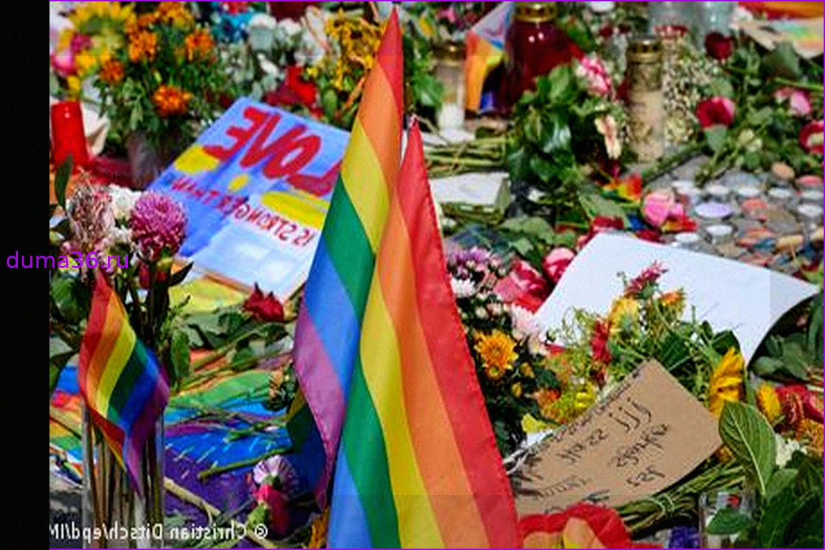 После теракта на CSD: Взгляд мусульман Германии